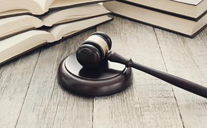 International Law Services